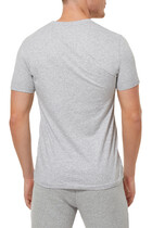 Pima Cotton V-Neck T-Shirt
